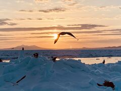 春なのに流氷ですか？*4　釧路羅臼線は、北海道内最長路線バス。知床サライ（ツイン）へ