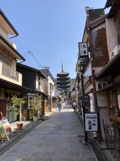 春旅あれ？ぎっくり腰どこ行っちゃったかな桜の前の京都（4）初公開の東本願寺御影堂門