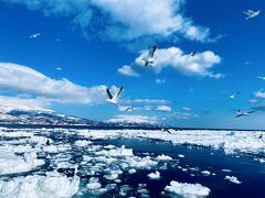 春なのに流氷ですか？*6　青空の下、ドキュメンタリー番組を撮るかの如く船は動く（知床ネイチャークルーズ）