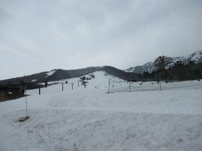 11年振りのスノーボードをしに鳥取県の大山へ2
