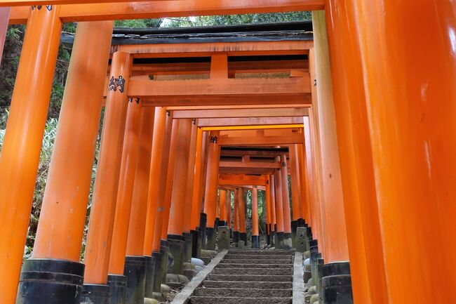 春の京都 Part１ 京都の旅行記 ブログ By Papapuさん フォートラベル