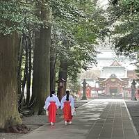 娘と行く九州7県周遊5日間　3日目