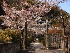 桜咲く鎌倉へ　坂東三十三観音巡礼【2】旧華頂宮邸、浄妙寺、石窯ガーデンテラスでランチ、明王院、光触寺