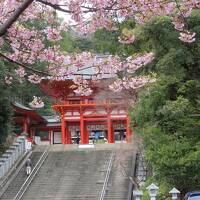 コップとカーの『ちょっとそこまで♪♪』　31　神社・仏閣参り大好き♪♪