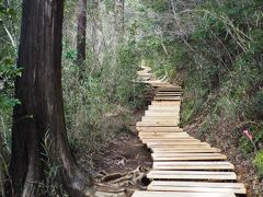 昼飲み前に高尾山。久しぶりに会ったご学友と登って下って、下町で飲んできた。