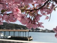 小さな春をさがすドライブ旅1日目（広島から山口）