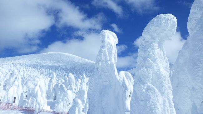 数十年ぶりに蔵王温泉スキー場に行ってまいりました。<br />春スキーとしては良い雪質だったかもです。<br />樹氷を見ながらのんんびりスキー。<br />蔵王は温泉も最高！