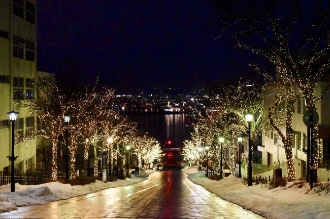 札幌から関東へ、今回初めての新幹線を利用。<br />せっかくなので函館で一泊して夜景を楽しむことに。