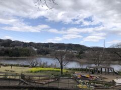 津久井湖花の苑公園からパークセンターまで犬と一緒にハイキングに行ってきました。