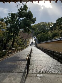 関西、呑みだおれの旅(時々発覚)　陸　金閣寺