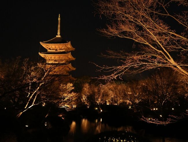 桜が咲き、春めく奈良・京都の一人旅。<br />東大寺を始めとした奈良の有名観光スポットや、<br />京都市内からちょっと外れた穴場スポットまで桜のあるところを巡る旅です♪<br /><br />●スケジュール●<br />＜1日目＞　奈良・京都　長谷寺～興福寺～東大寺～東寺<br />＜2日目＞　京都　背割堤～伏見桃山城～京都鉄道博物館～円山公園<br />＜3日目＞　京都　蹴上インクライン～岡崎疏水～金戒光明寺～哲学の道～三十三間堂