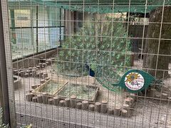 埼玉県の気になっていた所に行ってみた２（智光山公園こども動物園）