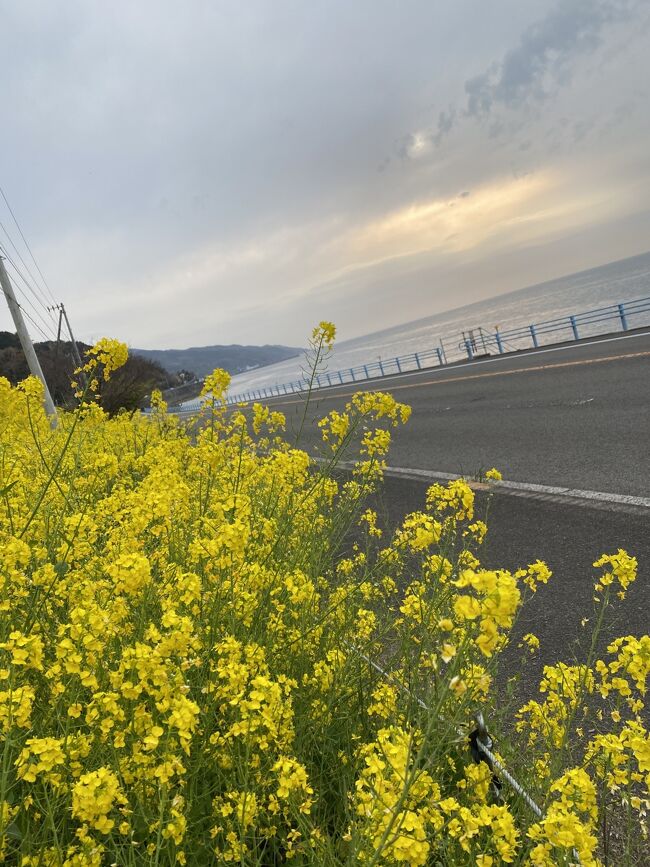 一日目は愛媛県をメインに巡りました。