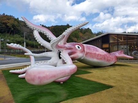 仙台方面へ年に一度、はらこ飯を食べに行くのが恒例になっていますが<br />北陸でも、そんな恒例行事があります。<br />それは「香箱蟹」を食べに行くこと！<br />香箱蟹、ってあまりなじみがない思うのですが、ズワイガニのメスの事をこう呼びます。<br />調べると金沢では「こうばこがに」、新潟では「めがに」、福井や鳥取などでは「せこがに」、京都では「こっぺがに」などと呼ばれているそうです。<br />私たちが普段、というか特別な時に食べる蟹ってズワイガニのオスがほとんどですが日本海側ではこうして、小さなメスのズワイガニを味わう習慣があるんですって。<br />私は昔、夫の知り合いのお店(金沢）で食べたのが初めてだと思います。<br />ちゃんとしたお店で食べたのでそれはそれは美味しかった！<br /><br />で、その味が忘れられずに北陸へ出向くときには香箱蟹を求めて右往左往する、というパターンが多くなりました(笑)。なぜ右往左往するのかはまた後ほど。