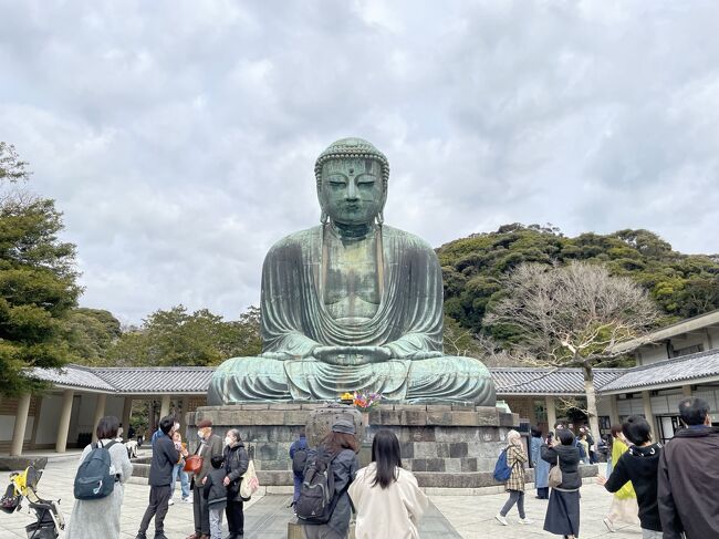 初日のキャンプ場をチェックアウトし、御殿場から南下して茅ケ崎のビジネスホテルにチェックインしました!<br /><br />その道中もやや混んでおり、妻も疲れさせてしまったので、湘南の海が近い町ならではの磯のものが食べられる居酒屋でプチ贅沢しました。<br />翌日は鎌倉によってから3連休の最終日は早めに東京に帰りました。