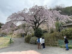 自然・動植物