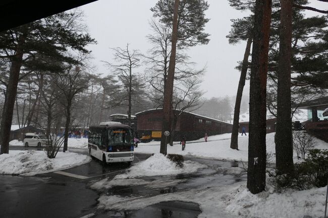 雪の軽井沢　優雅な冬旅♪　Vol.2 ☆軽井沢プリンスホテル　プリンス森のドッグヴィレッジ♪