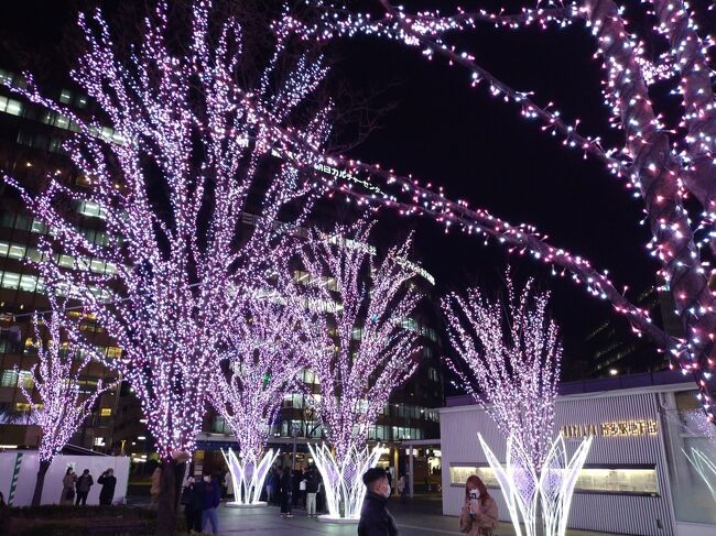 桜色の博多おばちゃん旅