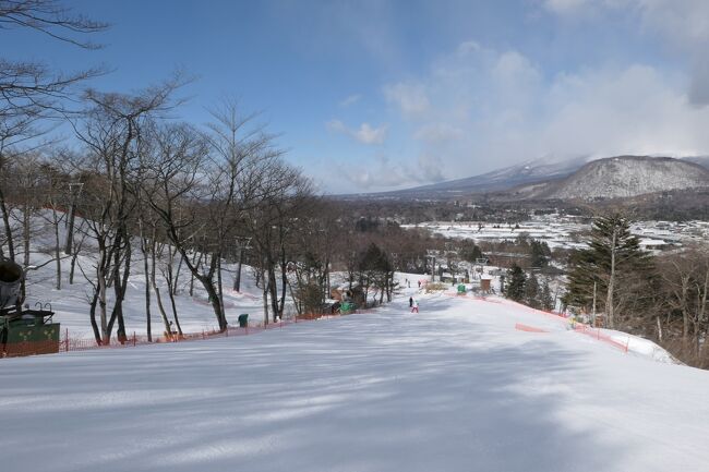 2022年2月20日-27日、冬の軽井沢に行きました♪<br />温泉とグルメ、スキーとショッピング、雪景色を愛犬と一緒にたっぷりと楽しんできました♪<br /><br />☆Vol.10　2月21日：軽井沢♪<br />軽井沢プリンスホテルの「プリンス森のドッグヴィレッジ」。<br />午前中はスキーをたっぷりと楽しもう。<br />スキーは2年ぶり。<br />北京オリンピックが終わって間もないので、<br />平日でもスノーボードが多く賑やか。<br />軽井沢プリンススキー場は例年、<br />人工雪のコースだけが白く、周囲は雪のない風景であるが、<br />今回は度重なる大雪のおかげて、<br />見渡す限りの雪景色。<br />周囲の山々も雪山で、<br />真っ白い浅間山が美しい。<br />まるで天然雪のあるスキー場にいるかのようで、<br />赤倉、志賀高原、白馬、万座を思い出させてくれる。<br />気持ちよくゆったりと滑って♪