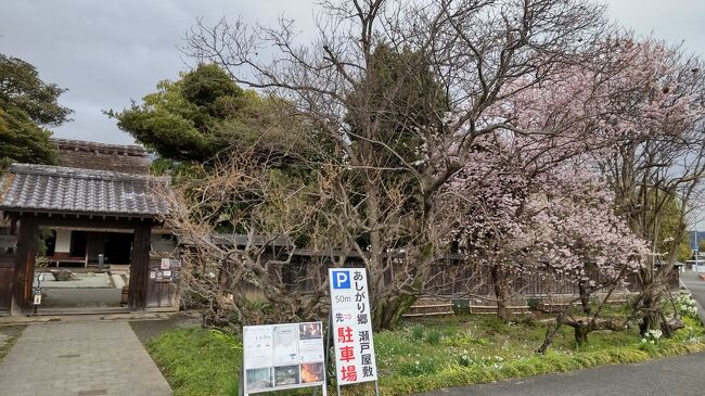 染井吉野桜の開花で年度末に春らしくなった陽気に誘われて神奈川県西部の大井町と開成町を小旅行。酒匂川流域では神奈川県酒造組合の13社のうち5社が日本酒を醸造している。東名高速でアクセスが良く、寒仕込み終盤に新酒生酒を求めて個性ある3酒蔵を探訪した。<br />開成町の定番観光スポット「瀬戸屋敷」にも立ち寄り春花を楽しんだ。