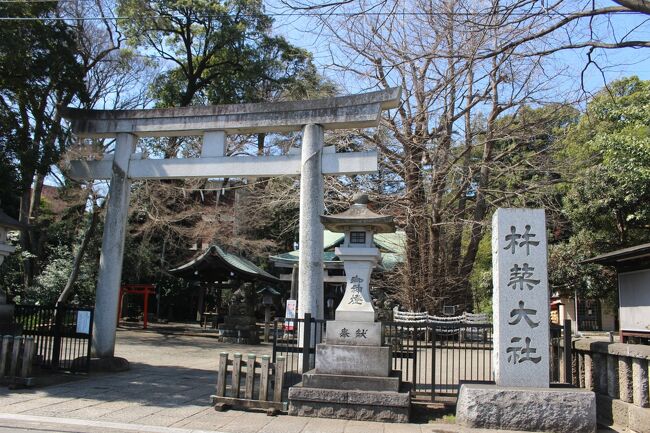 武蔵境駅をスタートする駅からハイキングに参加しました。<br />梅には遅く桜には早かったけど、良い天気で楽しく歩けました。