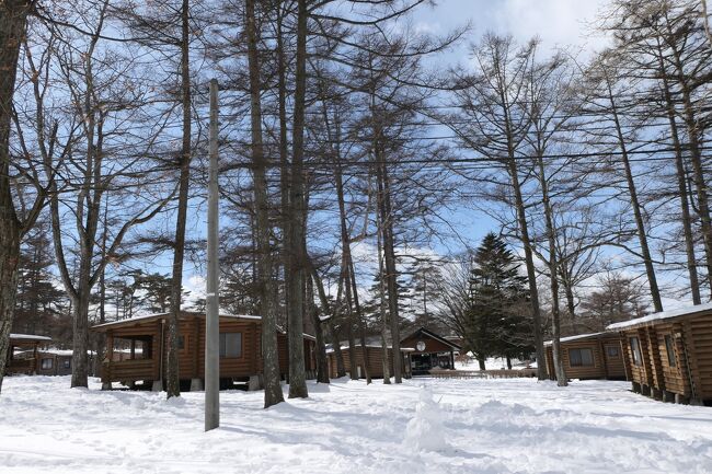 2022年2月20日-27日、冬の軽井沢に行きました♪<br />温泉とグルメ、スキーとショッピング、雪景色を愛犬と一緒にたっぷりと楽しんできました♪<br /><br />☆Vol.12　2月21日：軽井沢♪<br />軽井沢プリンスホテルの「プリンス森のドッグヴィレッジ」。<br />午前中はスキーをたっぷりと楽しんだら、<br />ドッグヴィレッジに帰る。<br />愛犬と一緒に雪遊び。<br />ドッグヴィレッジ周囲は20cm以上の積雪なので、<br />楽しい。<br />白い雪景色は本当に美しい。<br />ゆったりと眺めて♪