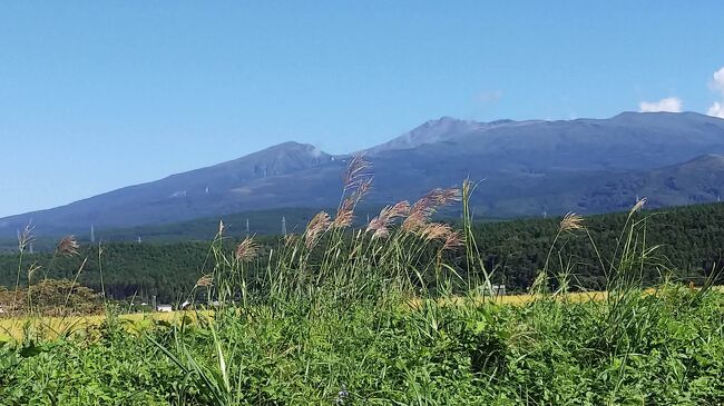 9月のシルバーウィークに、六泊七日の、東北の温泉と山旅を計画しました。<br /><br />岩木山、八甲田山、秋田駒ヶ岳に登る予定でしたが、悪天候のため、登ることが出来たのは岩木山だけでした。<br />残念。<br /><br />そのかわり、のんびりと、黄金崎不老不死温泉、酸ヶ湯、玉川温泉、松川温泉を満喫しました。<br /><br />まずは、前半の酸ヶ湯まで。