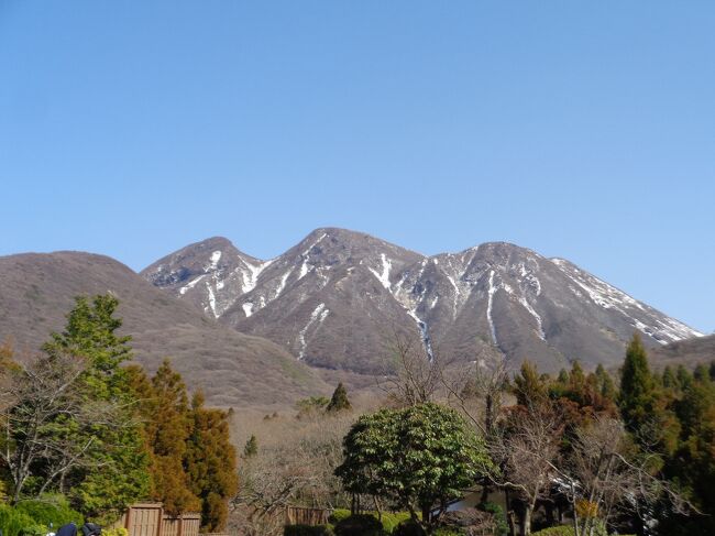 早春の九重温泉郷・山恵の湯へ　～冷涼な山の空気の中、四種の源泉を楽しむ～