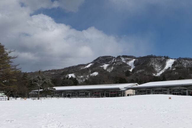 2022年2月20日-27日、冬の軽井沢に行きました♪<br />温泉とグルメ、スキーとショッピング、雪景色を愛犬と一緒にたっぷりと楽しんできました♪<br /><br />☆Vol.16　2月21日：軽井沢♪<br />軽井沢プリンスホテルの「プリンス森のドッグヴィレッジ」。<br />午後はゆったりとショッピング。<br />軽井沢プリンスショッピングプラザ。<br />ちょうど、冬のプレミアムセール真っ最中。<br />モンクレール、グッチ、プラダ、フェラガモ、ボッテガヴェネタ、サンローランなど怒濤のお買い上げ。<br />一番嬉しかったのはニューオープンした「モルトンブラウン」。<br />ヨーロッパ内の乗り継ぎ空港で必ず買い求めていたので、<br />懐かしい。<br />圧巻の品揃えでしかもアウトレット価格なのは嬉しい。<br />あれこれとたくさんまとめ買い。<br />モールに囲まれた庭園は真っ白な雪景色。<br />美しい雪景色と共に、<br />ゆったりとショッピングを楽しんで♪