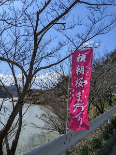 鋸南町～頼朝桜を見ながらお散歩～ランチはかなやで