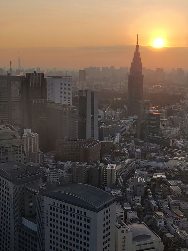 パークハイアット東京　ニューヨークグリル　30時間ホテルステイ　