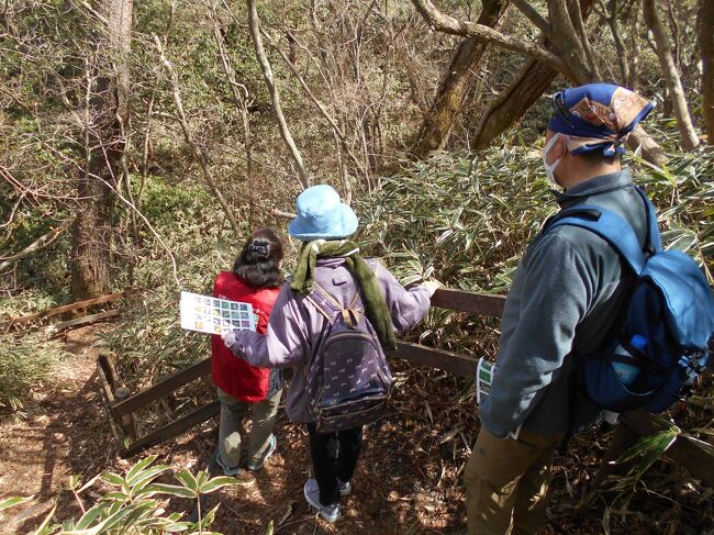 六甲山の記念碑台にあるガイドハウスでは、土・日に無料で1時間ほど自然観察に連れて行ってくれる。妻と共にこれに参加してちょっと賢くなってから甲山のふもとの森林公園に行き植物観察を楽しんだ。ちょっと寒かったが、楽しい一日を過ごせた。