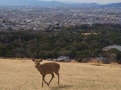 2022年3月奈良東大寺日帰り旅