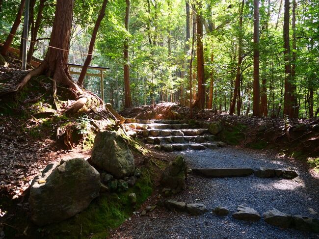 『ととのう京都ひとり旅&#39;22』最終日は、亀岡にある出雲大神宮へお礼参り<br />平日だし、のんびり電車＆バス旅をします(о´v｀о)<br /><br />----------------スケジュール----------------<br />■今回の記事<br />　★9:15頃 ホテルcheck out<br /><br />■【移動】 <br />　　電車：JR嵯峨野線（京都駅＞亀岡駅）<br />　【移動】 <br />　　バス：亀岡市ふるさとバス(亀岡駅＞出雲神社前)<br />　★10:20-12:05 出雲大神宮<br /><br />■【移動】 <br />　　バス：亀岡市ふるさとバス(出雲神社前＞亀岡駅)<br />■【移動】 <br />　　電車：JR嵯峨野線（亀岡＞二条）<br />■【移動】 <br />　　バス：京都市営バス（二条＞四条高倉）<br />　【移動】 <br />　　徒歩（四条高倉バス停＞大丸京都）<br />　★13:50頃 いづうお土産受け取り<br /><br />　【移動】 <br />　　徒歩（大丸京都＞一の傳）<br />　★14:00-15:20 一の傳<br /><br />　【移動】 <br />　　徒歩（一の傳＞四条駅）<br />　【移動】 <br />　　電車：京都市営烏丸線（四条＞京都）<br />　★15:55-17:10 京都タワー<br />　★伊勢丹京都でお土産回収後ホテルで荷物を受取<br /><br />　【移動】<br /> 　　新幹線 のぞみ246号（京都＞東京）<br />　帰宅<br />--------------------------------------------<br />表紙：出雲大神宮