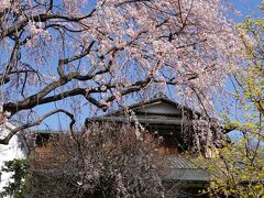 春の一日、江戸東京たてもの園を訪ねました