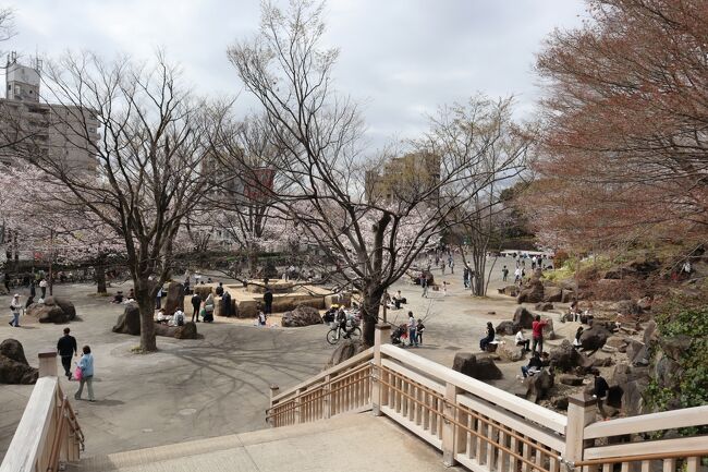 「飛鳥山公園」は、江戸時代より浮世絵の題材にもなったほどの桜の名所でした。もともとは八代将軍徳川吉宗が、この地を江戸の庶民の行楽地とするため、桜の木を植えて整備したのが始まりでした。新しいお花見の名所として誕生した飛鳥山は、当時、桜の名所地では禁止されていた「酒宴」や「仮装」が容認されていたため、江戸っ子たちは様々な趣向を凝らして楽しみました。<br /><br />明治6年(1873)には、太政官布達によって、上野・芝・浅草・深川とともに日本最初の公園に指定されいます。今も都内有数の花見スポットとして春にはたくさんの人で賑わいます。 ソメイヨシノ、シダレザクラ、カンザン、ジュウガツザクラなど約600本が園内に植えられています。そのうちソメイヨシノ（染井吉野）は約 400 本あり、開花時期は 3 月下旬から4 月上旬です。<br /><br />日本経済の基礎を作った渋沢栄一は、設立に尽力した王子製紙（設立当時は抄紙会社）の工場を眼下に見守ることができる飛鳥山に、邸を構えました。明治12年(1879)からは内外の賓客を招く公の場として、その後明治34年(1901)から亡くなる昭和6年(1931)までは家族と過ごす日常の生活の場としても使用し、「曖依村荘（あいいそんそう）」とも呼ばれていました。<br /><br />飛鳥山公園内の旧渋沢庭園には、国の重要文化財に指定された大正期の2つの建物「晩香廬（ばんこうろ）」と「青淵文庫（せいえんぶんこ）」が、当時のままの姿で残っています。かつて栄一が住んでいた旧渋沢邸跡地に、「渋沢資料館」が昭和57年(1982)に開館しています。渋沢栄一の活動を広く紹介する博物館として、栄一の生涯と事績に関する資料を収蔵・展示しています。<br />