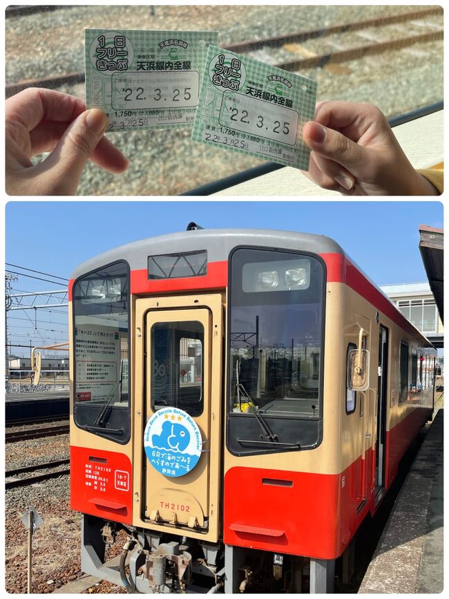 蒲郡駅から新所原までJRで行き、<br />そこから天竜浜名湖鉄道に乗り換えて<br />遠州森駅までの旅です。<br />
