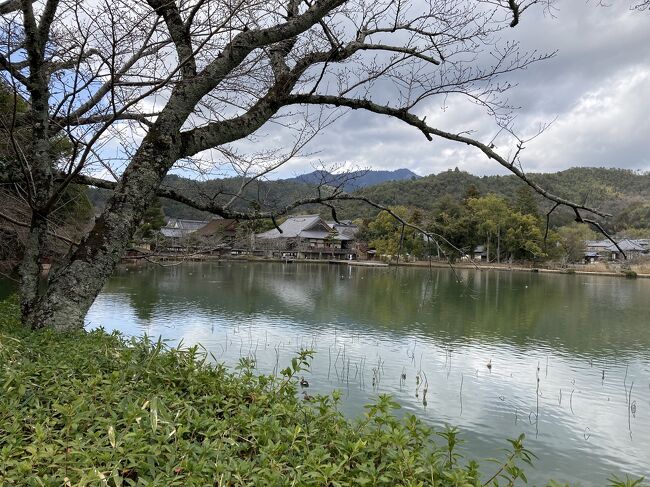 春旅軽いギックリ腰でも歩いちゃう京都（2-2）嵯峨野あたり