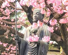幻桜／沖田桜が告げる春