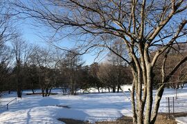 雪の軽井沢　優雅な冬旅♪　Vol.50 ☆ひらまつのドッグヴィラスイート　美しい朝の雪風景♪