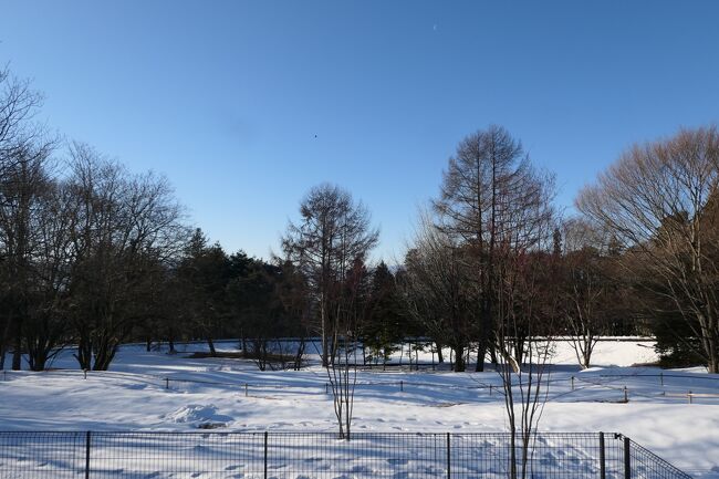 雪の軽井沢　優雅な冬旅♪　Vol.49 ☆ひらまつのドッグヴィラスイート　美しい朝の雪風景♪
