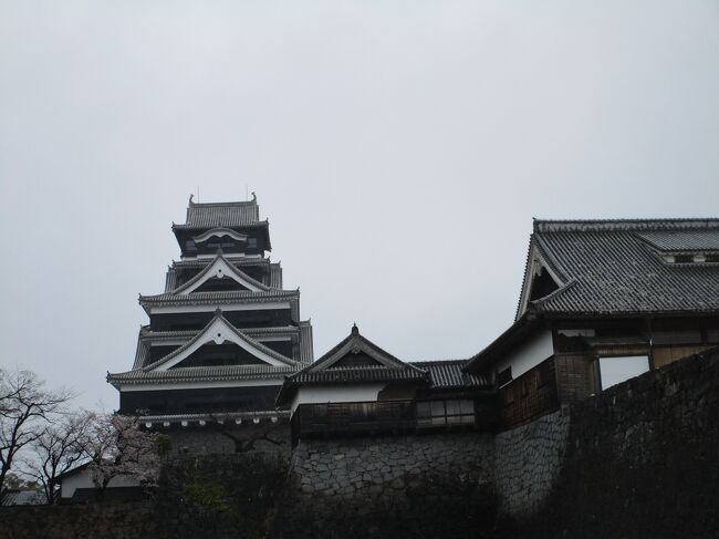 ３月の連休を利用して九州・熊本県と長崎県を弾丸観光してきました。<br /><br />熊本・長崎とも20年ほど前に旅行したことがありますが、熊本地震で被災した熊本城の一部修復が終わり観光できるようになったと聞いて、もういちど熊本城を見たくなったのです。<br />熊本も長崎ももっと　見たい・行きたい場所があったのですが、２泊３日の電車＆路線バス移動ではナカナカ難しいものがありまして～。<br /><br />熊本天草や長崎五島列島は次回以降の宿題として、熊本→島原→長崎をピンポイントで巡る旅程になりました。<br /><br />