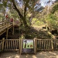 ハプニング続きの屋久島