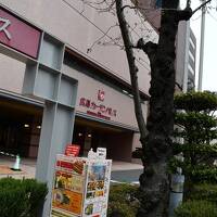 駅から宿の往復だけだった広島滞在