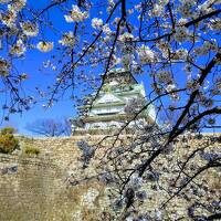 春旅☆ひっっっっさしぶりの大阪特急旅行