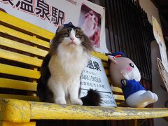 普段は撮影禁止の芦ノ牧温泉駅の猫駅長らぶちゃんだらけ、お宿は泊まってみたかった芦ノ牧温泉の大川荘