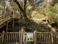 ハプニング続きの屋久島