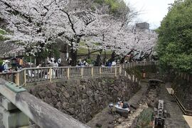 東京王子散策・・王子稲荷神社と音無親水公園をめぐります。
