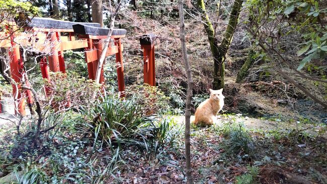 信貴山で寅と出会い、星野リゾートになる前に奈良監獄に行く②信貴山と春日大社の巻