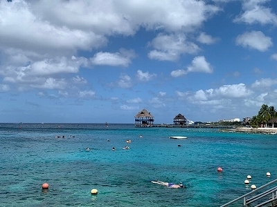 ダイビングやシュノーケルで有名なコスメル島。<br />島にあるチャンカナブ国立公園はビーチからダイビングやシュノーケルができます。<br />カリブ海の固有種がたくさん見れるお勧めのスポット<br />ビーチでのんびり過ごすのも贅沢な時間です。<br />公園内には綺麗なセノーテもあってイグアナものんびりしています。<br />カリブ海を満喫にするのにお勧めです。